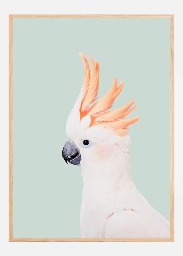 Cockatoo on Mint Poster