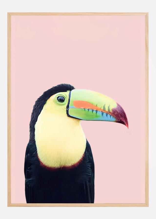 Toucan on Pink Poster