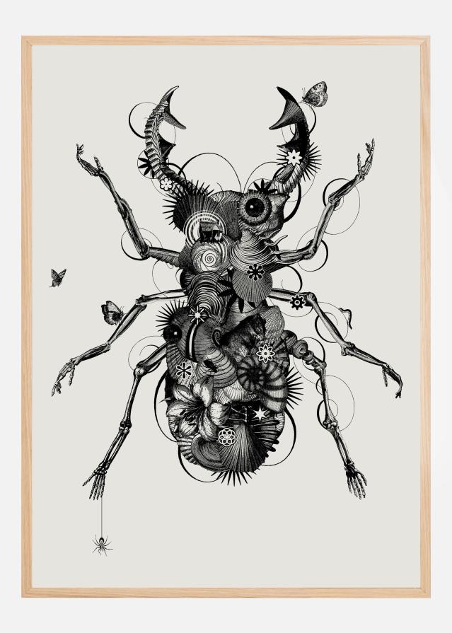 Stagbeetle Poster