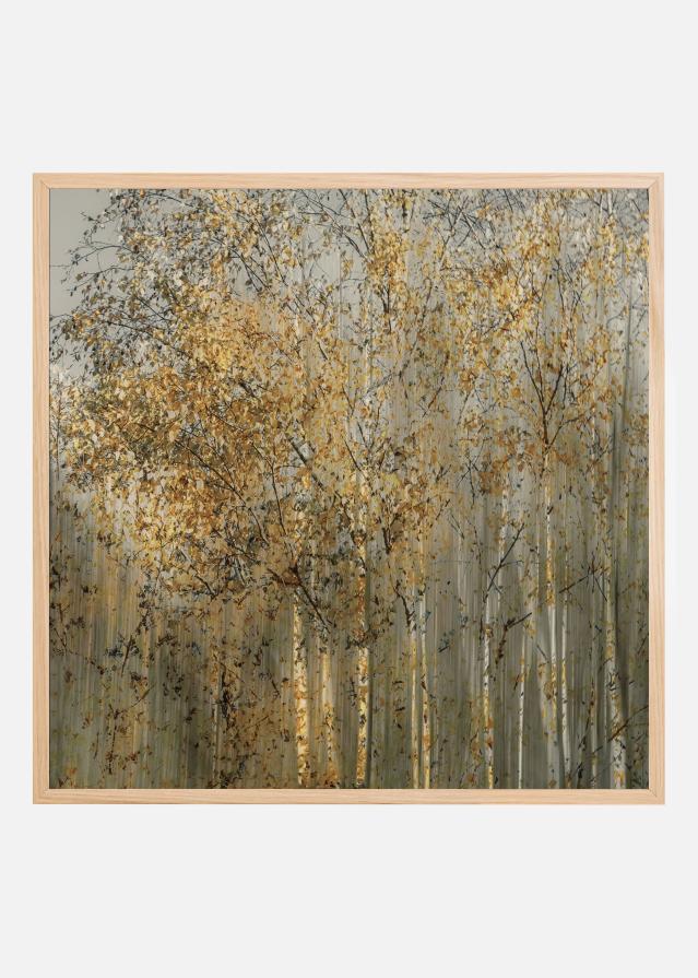 Birch impression Poster