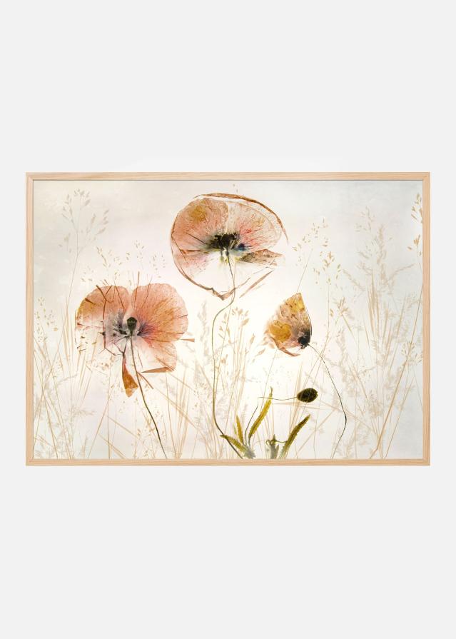 Light and soft Poster