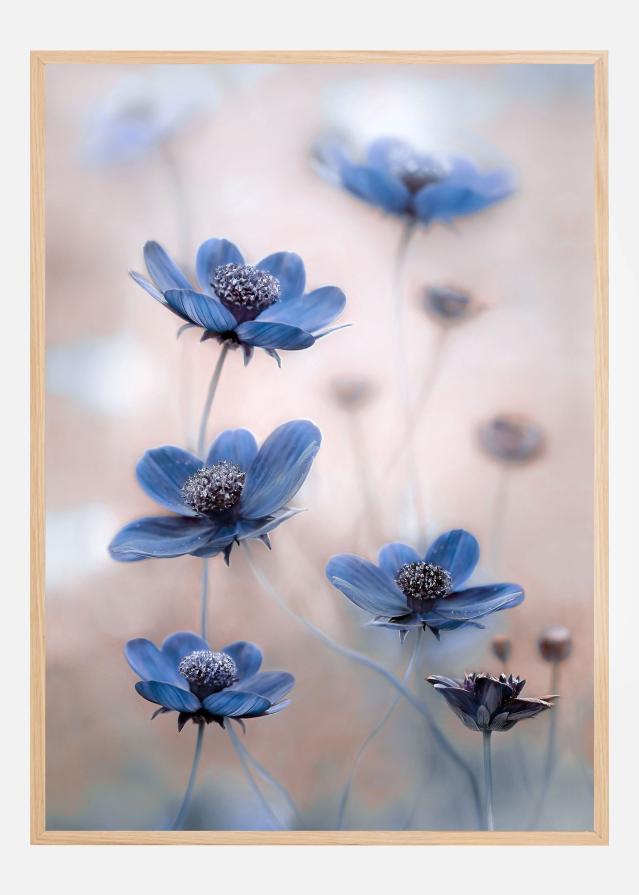 Cosmos blue Poster