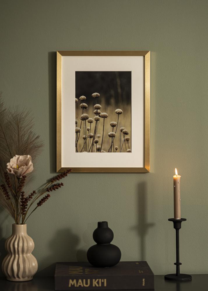 Cadre Selection Verre Acrylique Or 30x40 inches (76,2x101,6 cm)