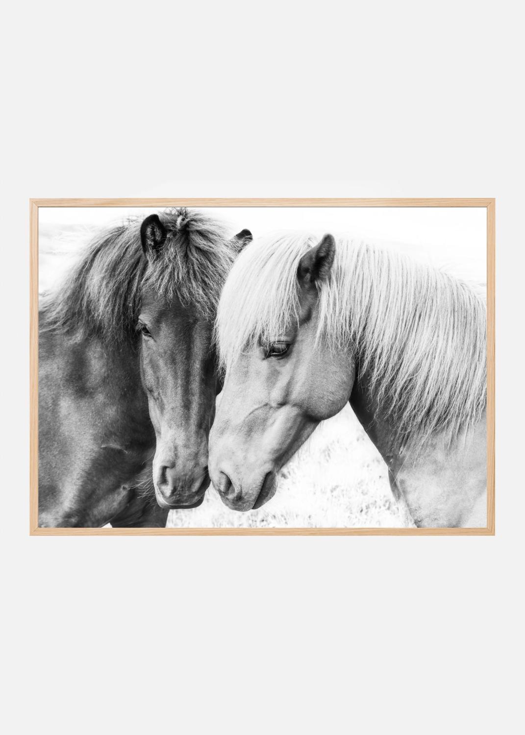 Product Image for Horse Love Poster (100x140 cm)