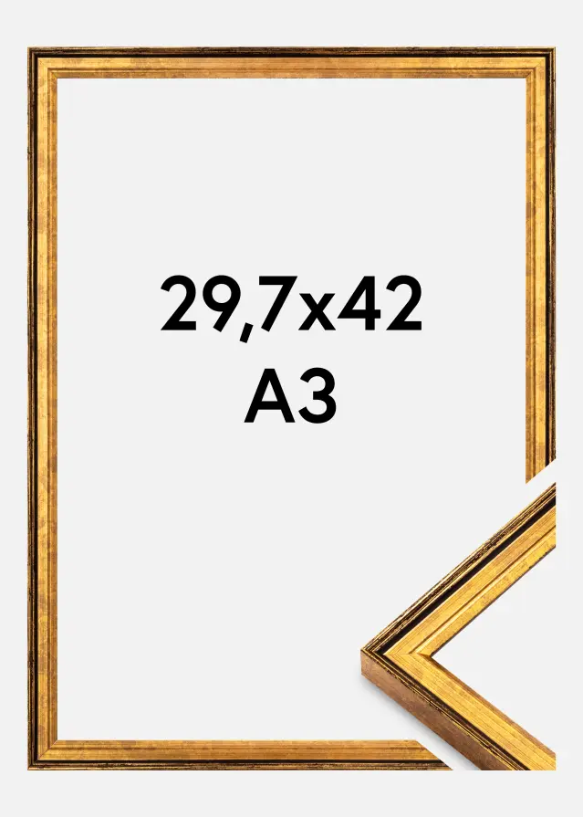 Cadre Ringa Verre Acrylique Or 29,7x42 cm (A3)