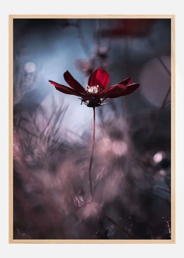 Tenue de soirAce Poster