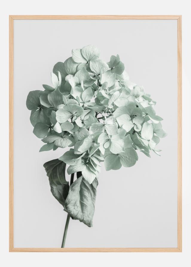 Green Dried Flower Poster