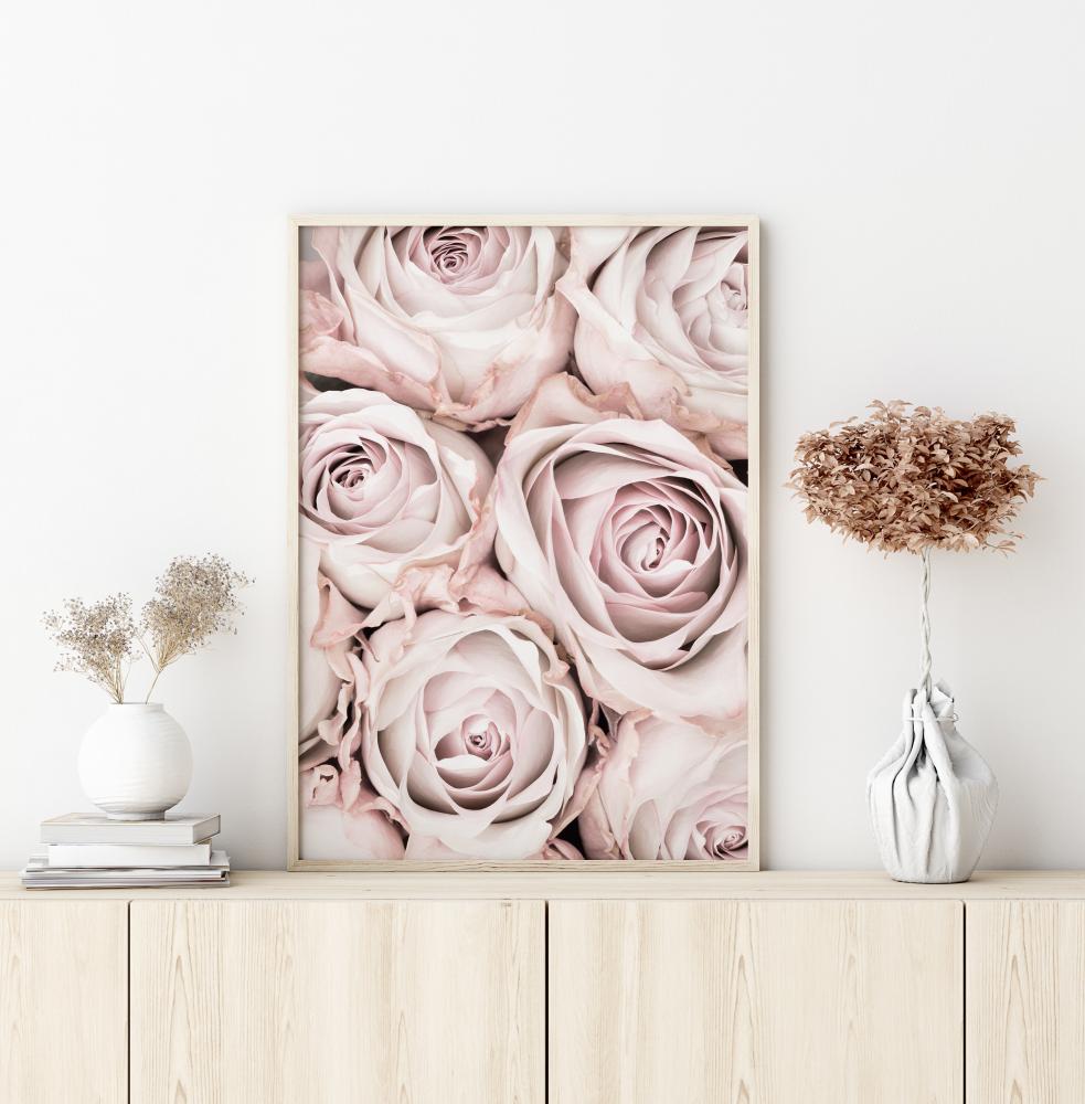 Pink Roses Poster