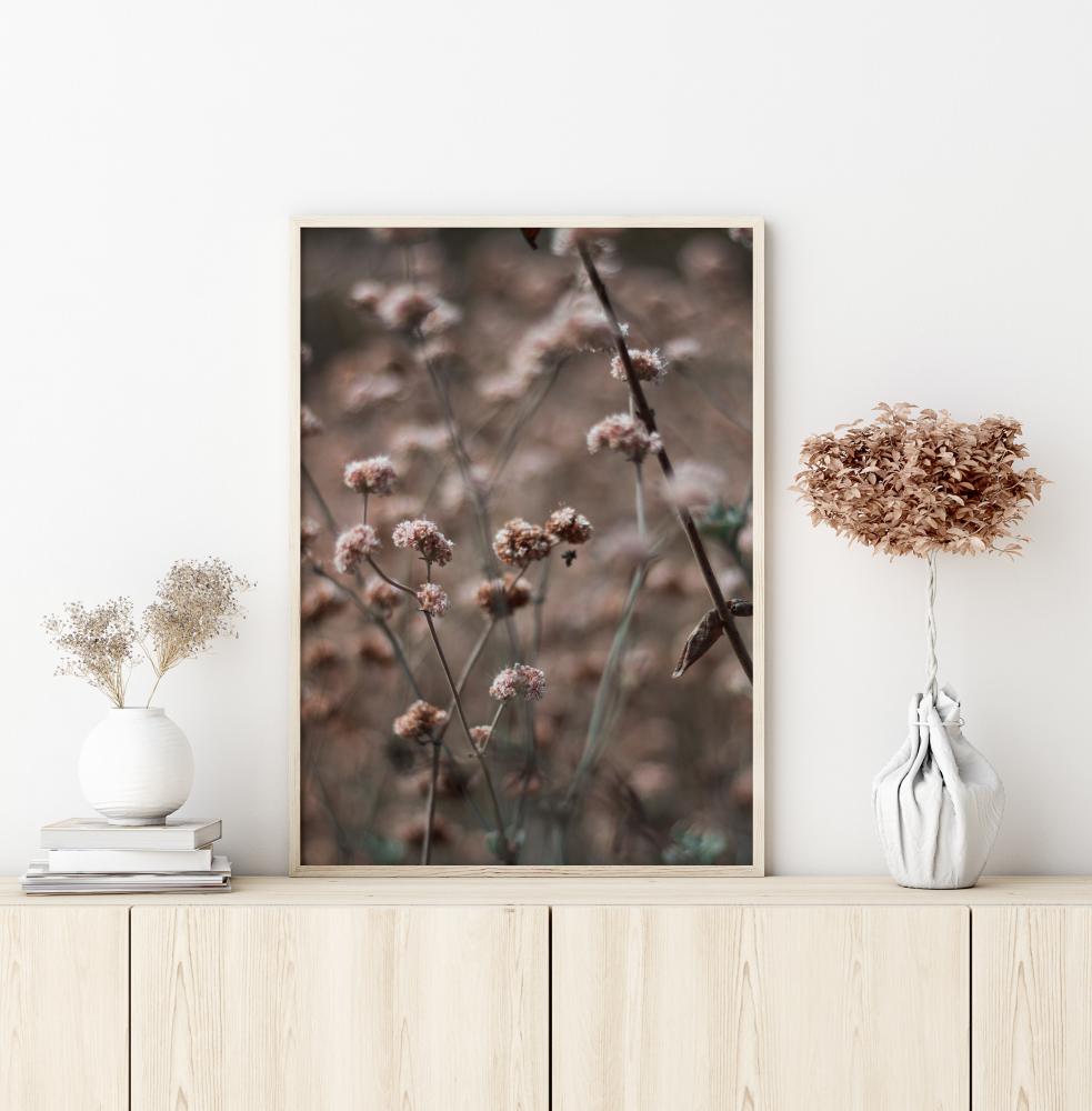 Bridal Veil Flower Poster