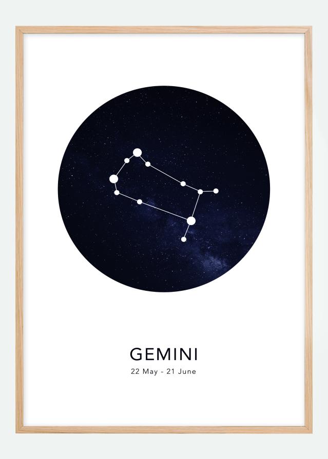 Gemini Poster