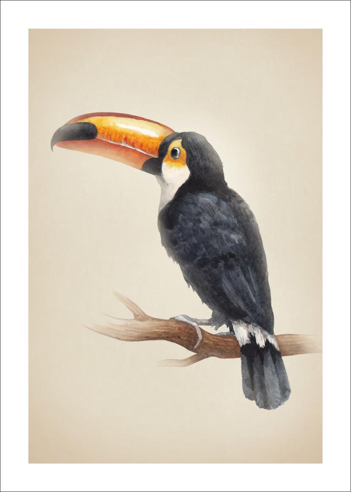 Tropical Toucan Poster