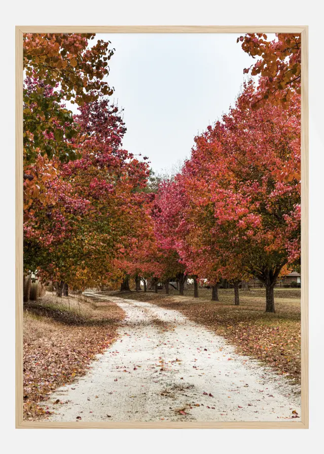 Autum Road Poster