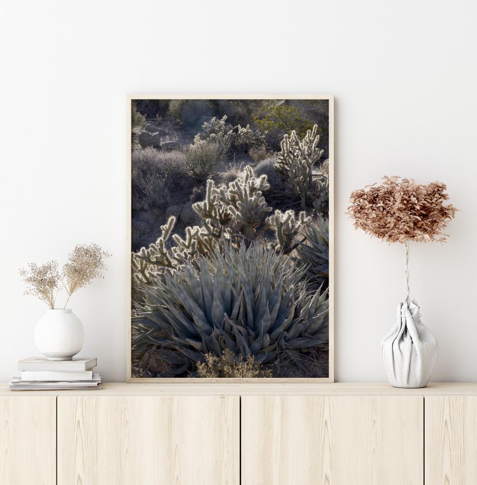 Cactus In Desert Poster