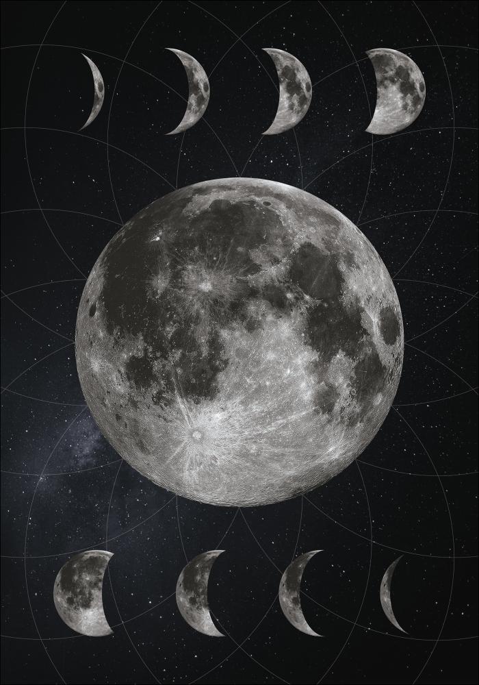 Moon Phases Poster