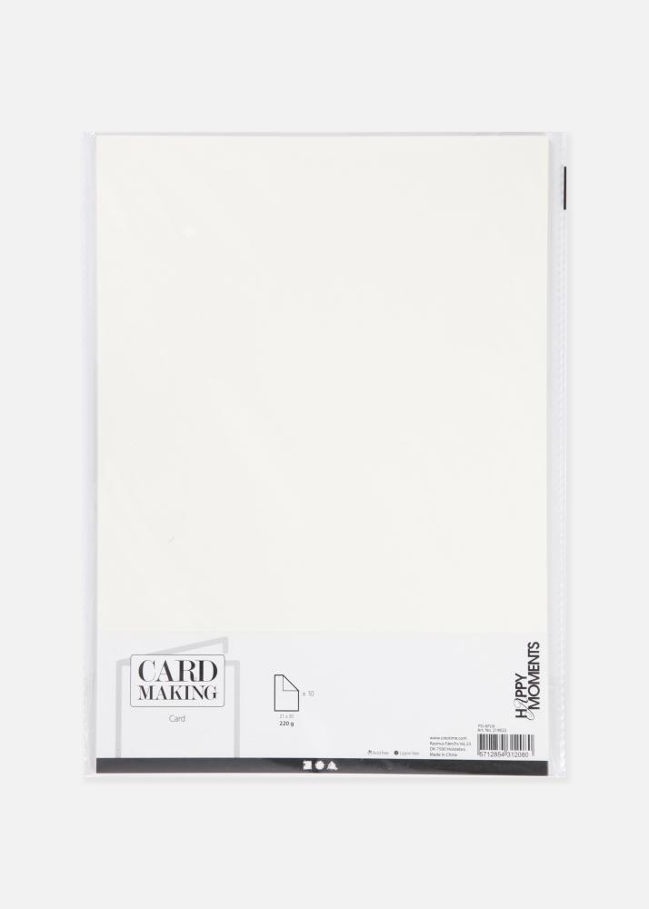 Carton Pur Blanc A4 220 g 10 pièces