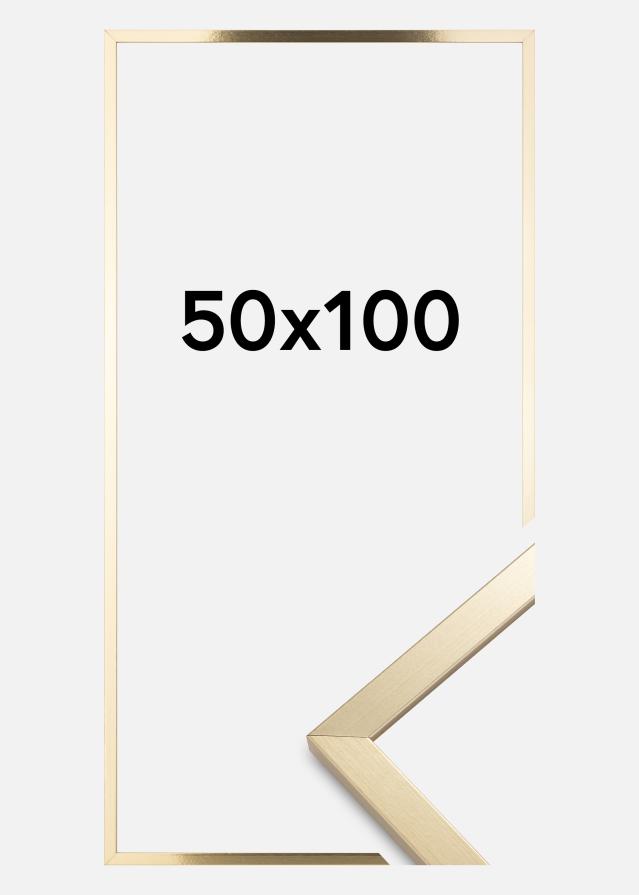 Cadre Trendy Verre Acrylique Or 50x100 cm