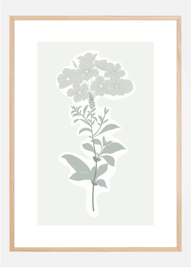 BOTANIC Poster