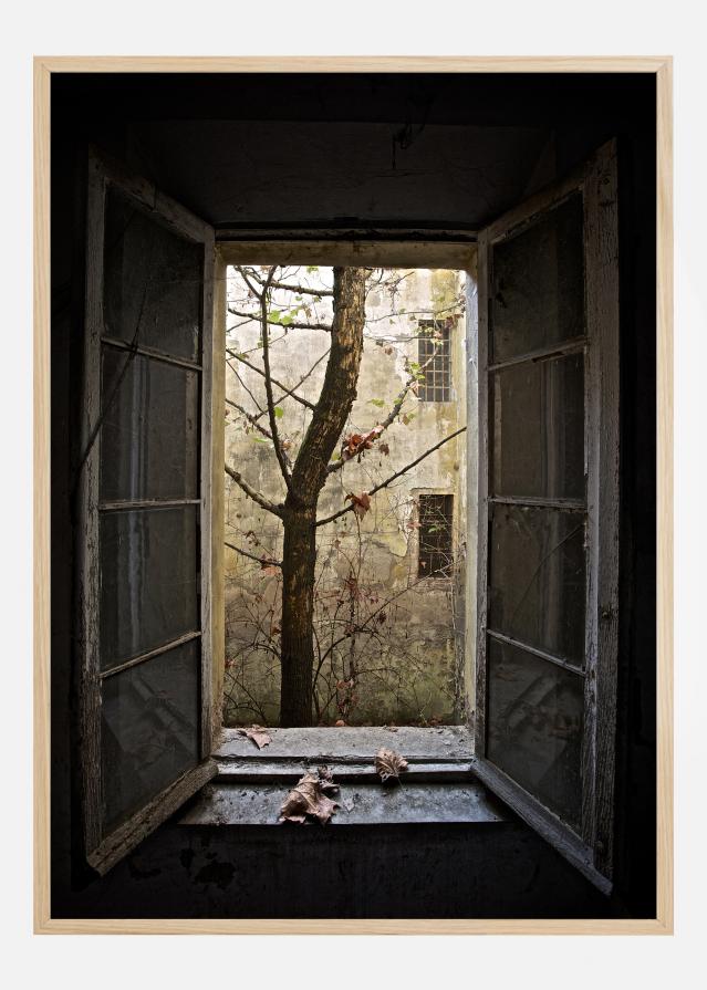 Autumn In Asylum Poster