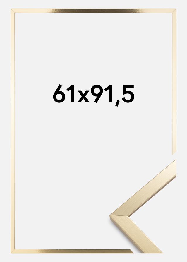Cadre Trendy Verre Acrylique Or 61x91,5 cm