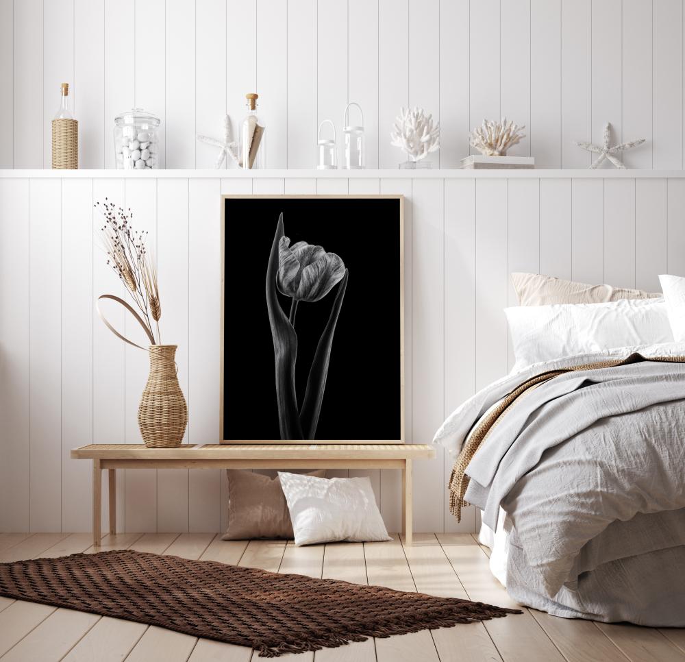 Rembrandt Tulip Poster