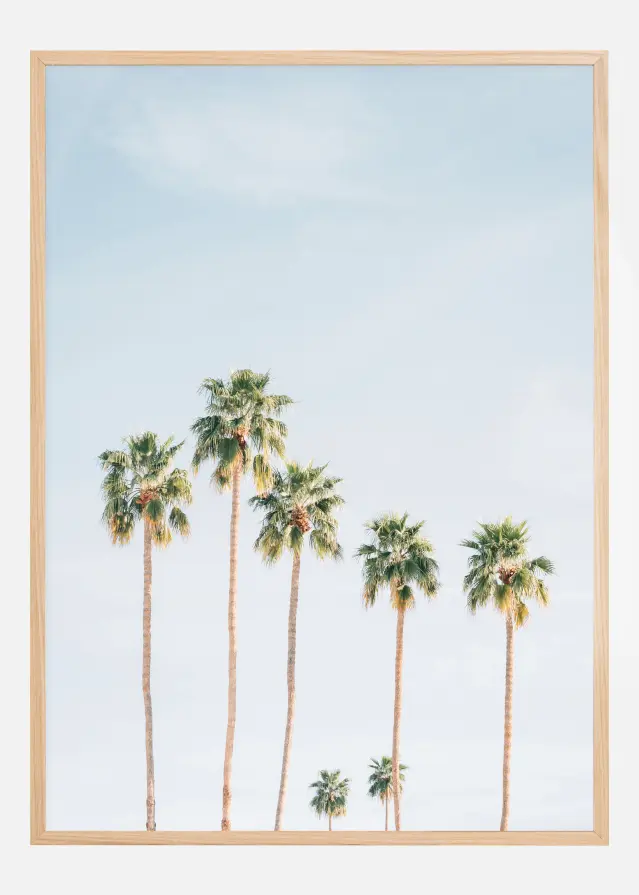 Palm Trees Poster