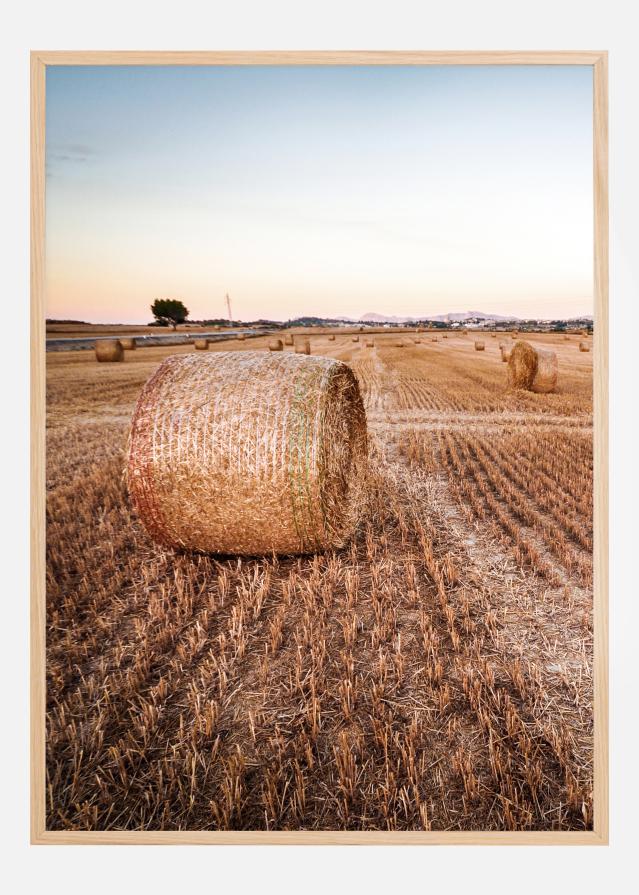 Hay Fields Poster