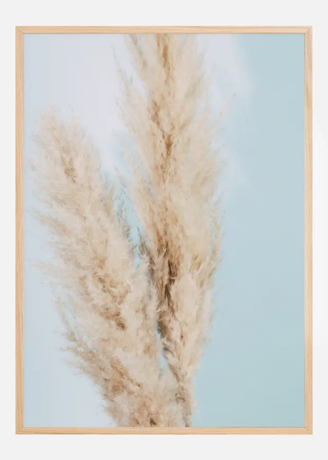 Pampas Grass Blue Poster