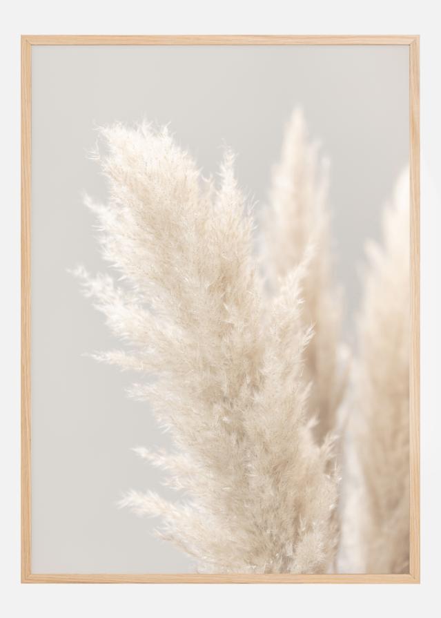 Pampas Grass IIII Poster