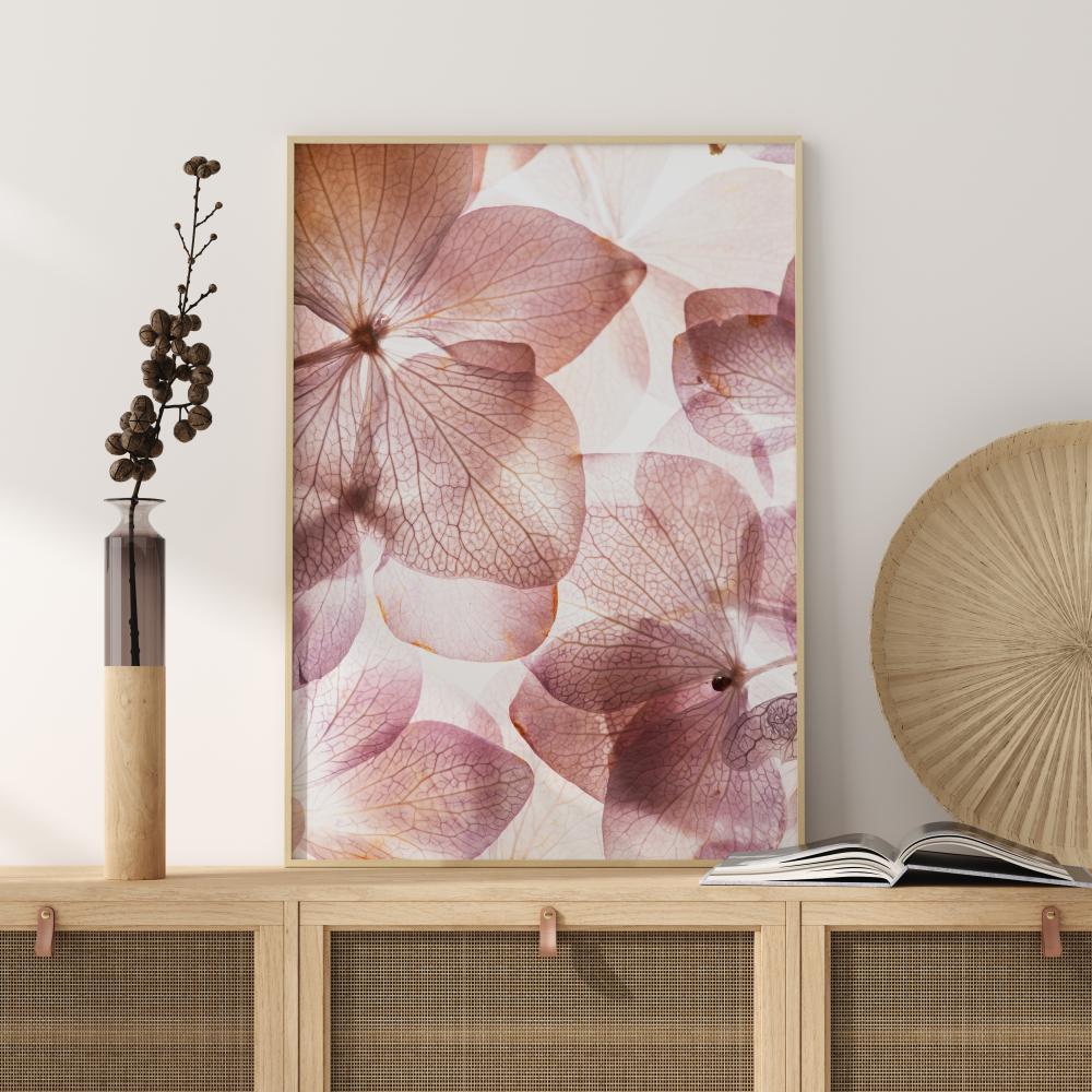 Orchid Poster