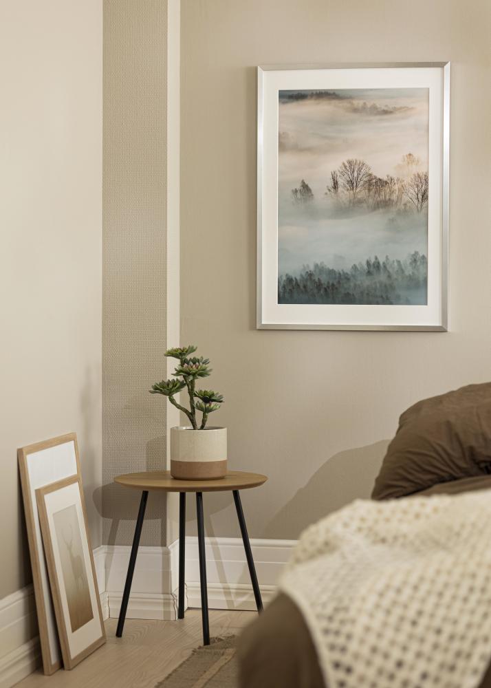 Cadre Trendy Verre Acrylique Argent 59,4x84,1 cm (A1)