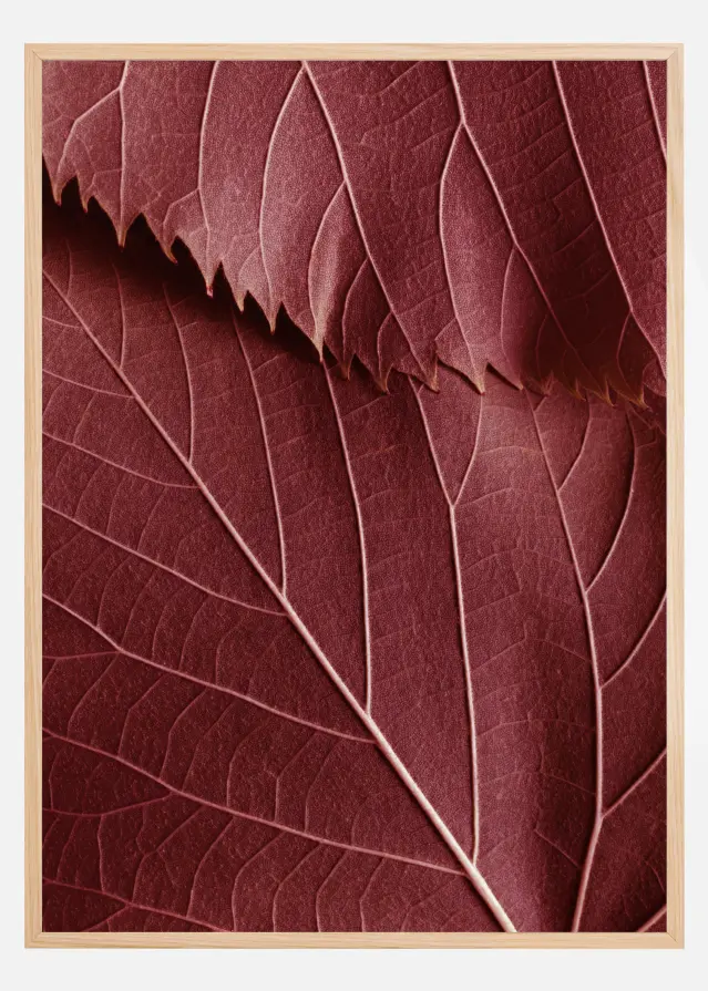 Red Leaves Poster