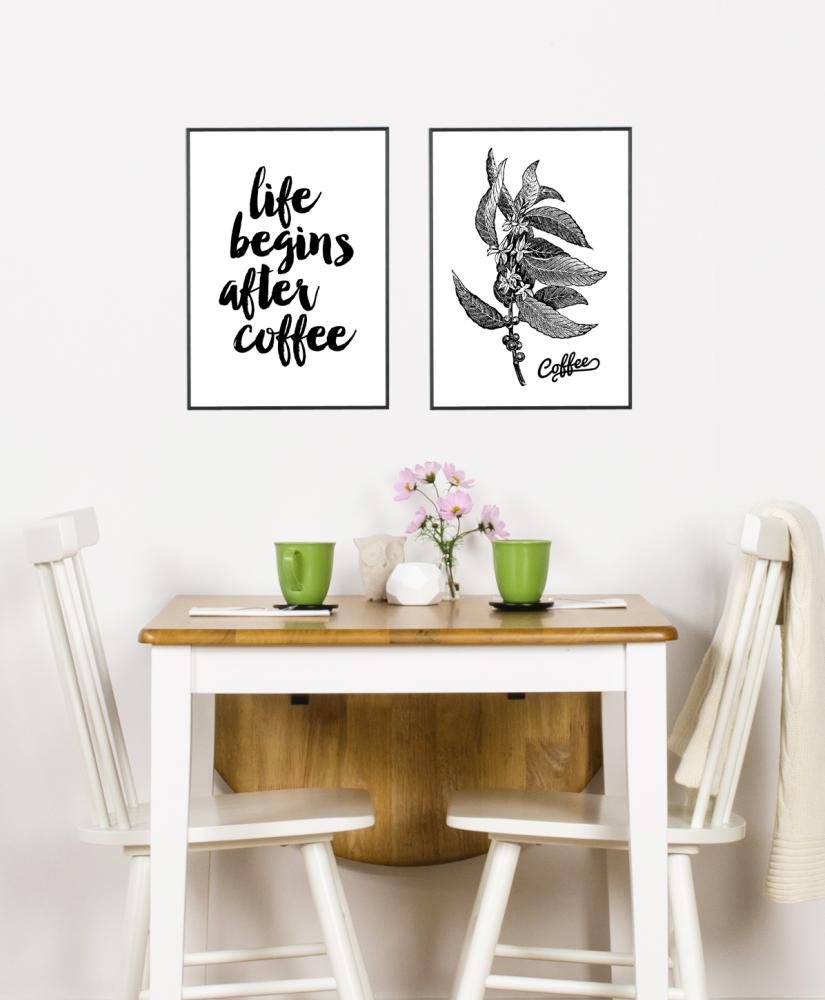 Coffee Botanical Poster