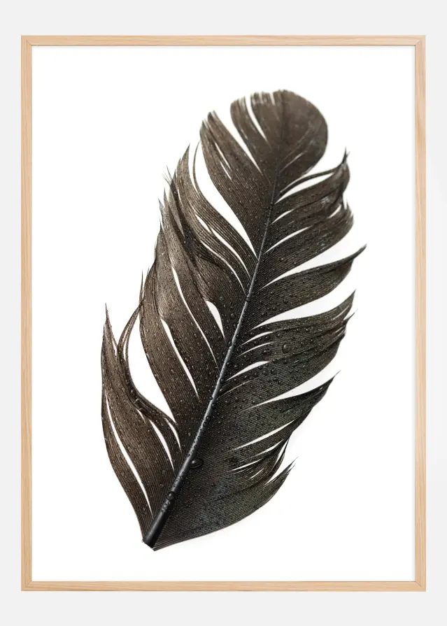 Feather Poster