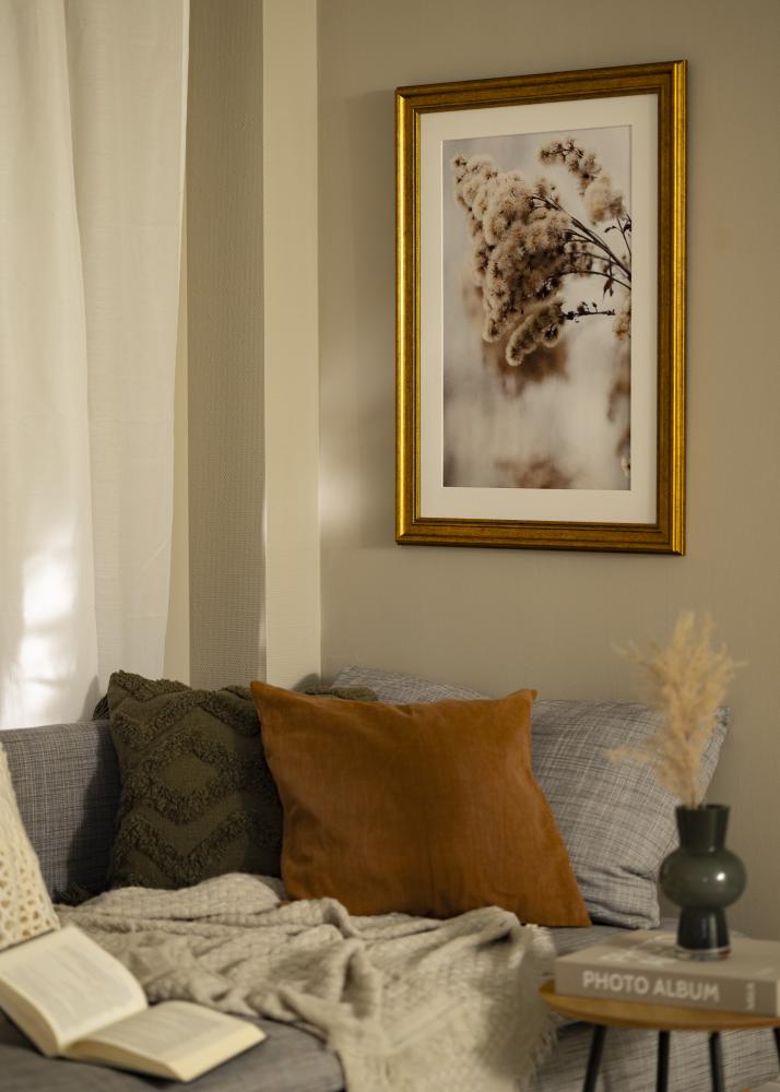 Cadre Rokoko Verre Acrylique Or 40x60 cm