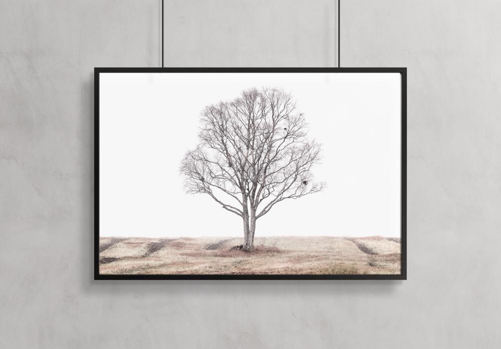 The lonely tree Poster