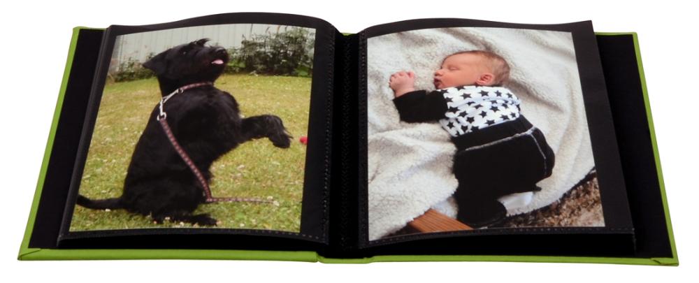 Noodle Mini Vert - 40 images en 11x15 cm