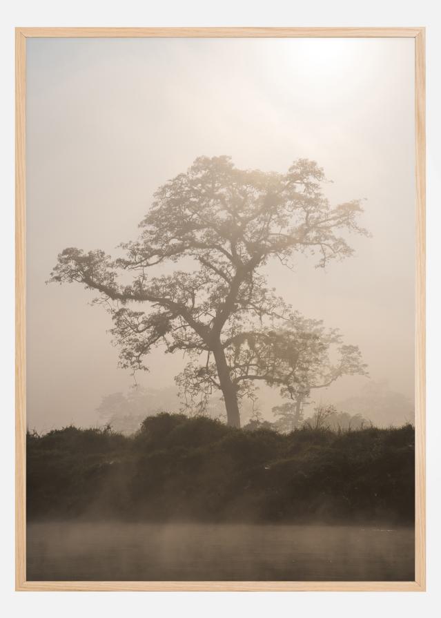 Misty Tree Poster