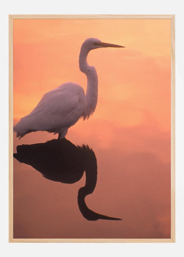 Bird In Orange Water Poster