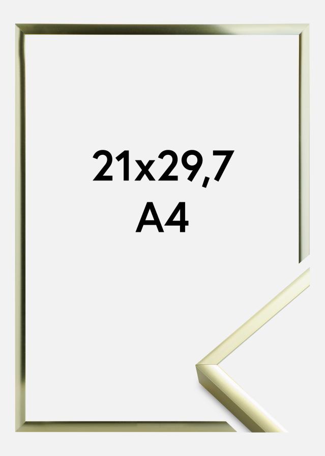 Cadre Poster Aluminum Gold 21x29,7 cm (A4)