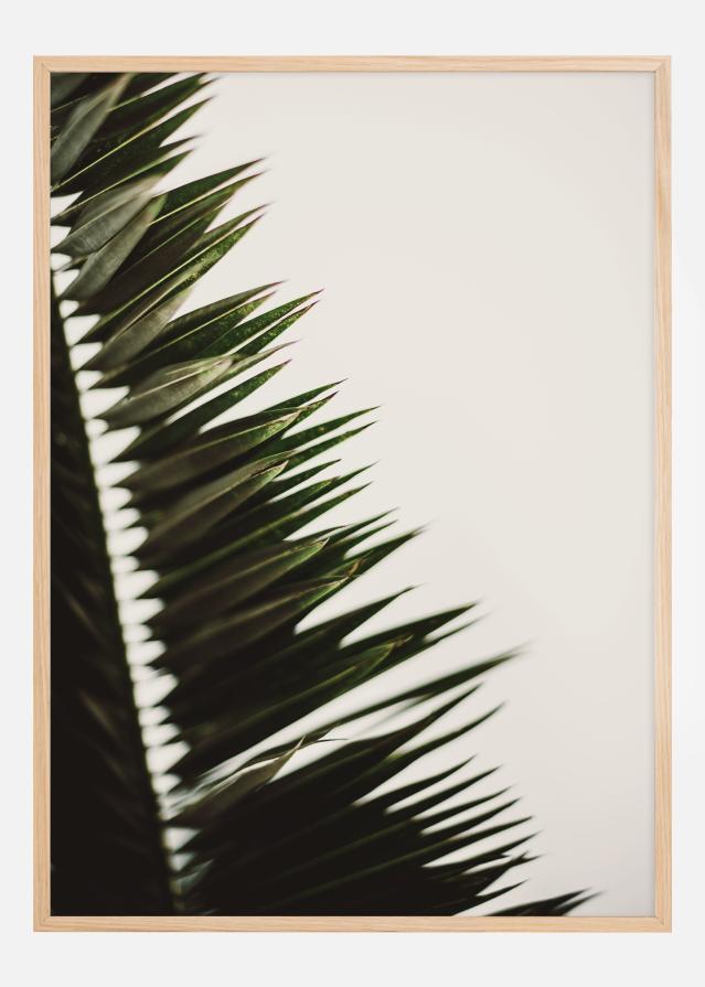 Palm Branches Poster