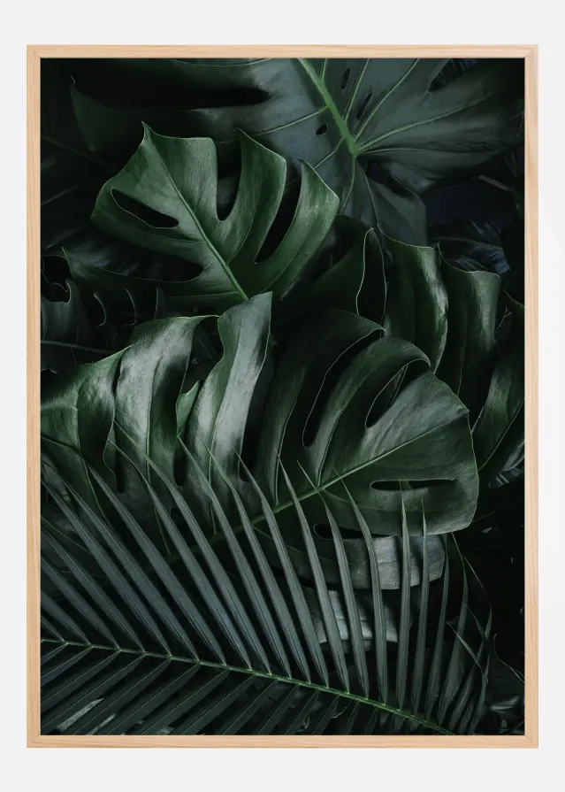 Monstera Plant II Poster