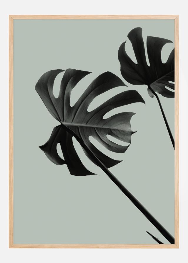 Monstera Teal II Poster