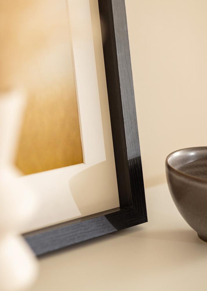 BGA Cadre boîte Verre Acrylique Noir 50x100 cm