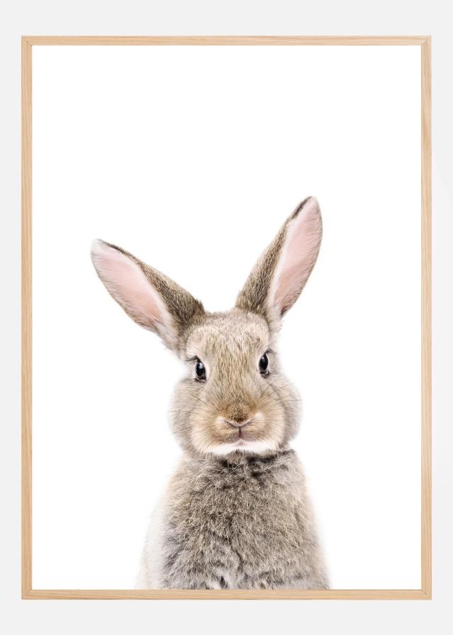 Baby Rabbit Poster