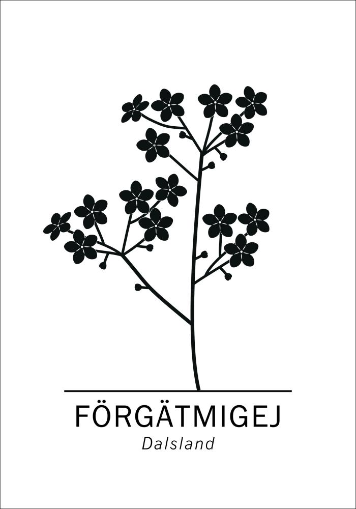 Förgätmigej - Dalsland Poster