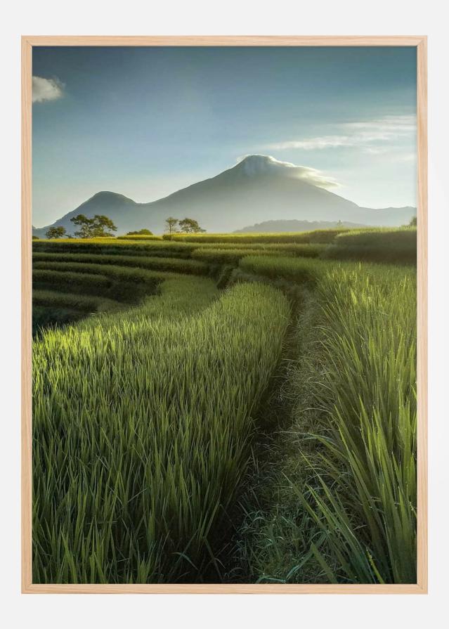 Beautiful Landscape Poster