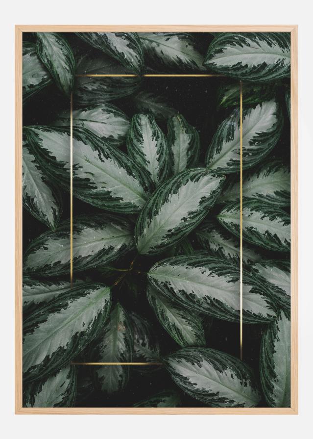 Green Leaves Poster