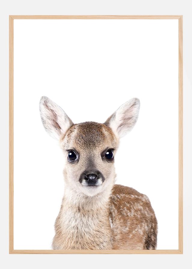 Baby Deer Poster