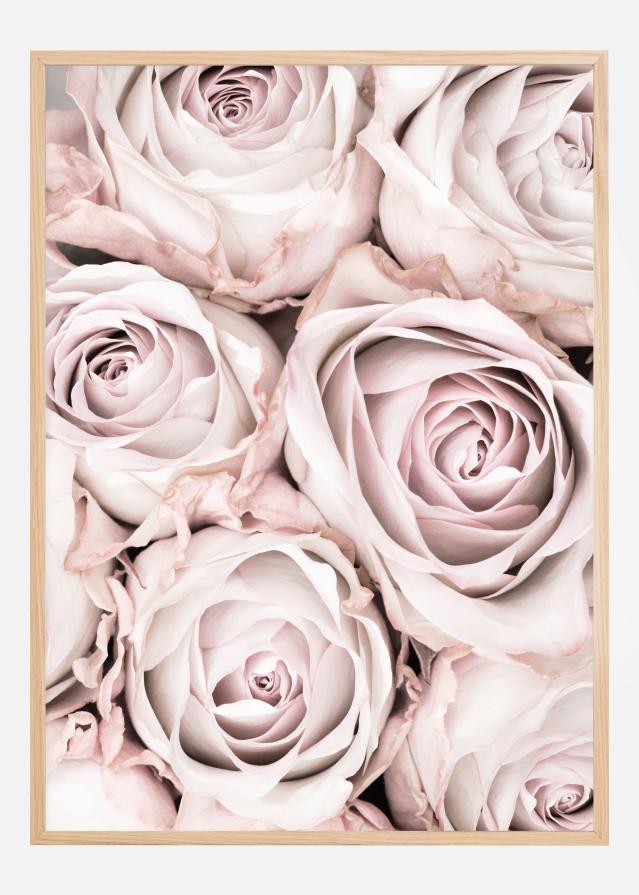 Pink Roses Poster