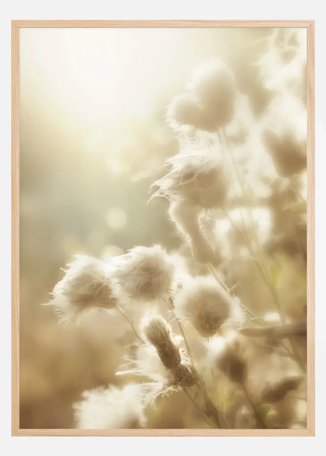 Fluffy flowers Poster